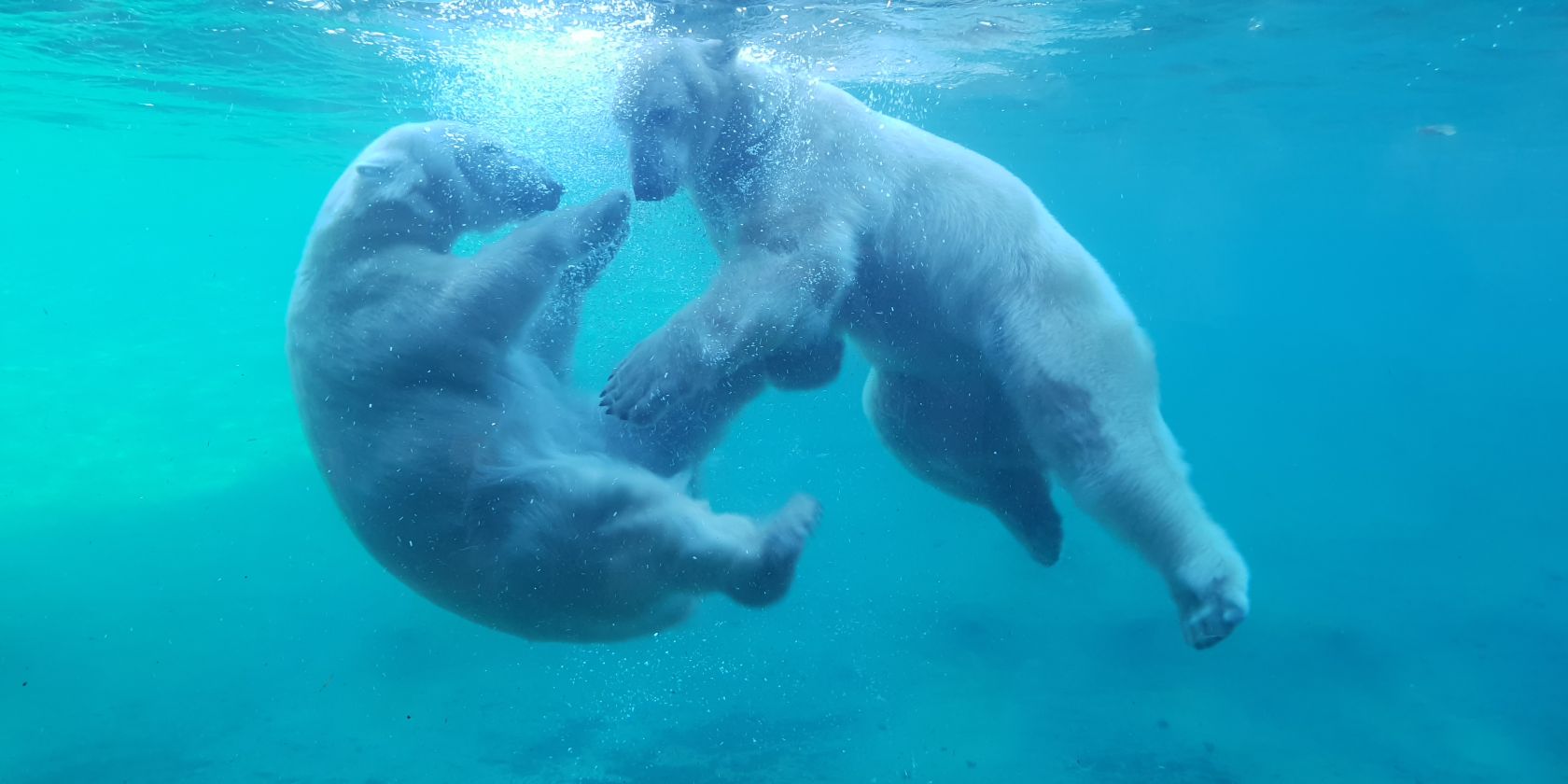 Entdeckerpass, © Zoo Rostock/Bruhn