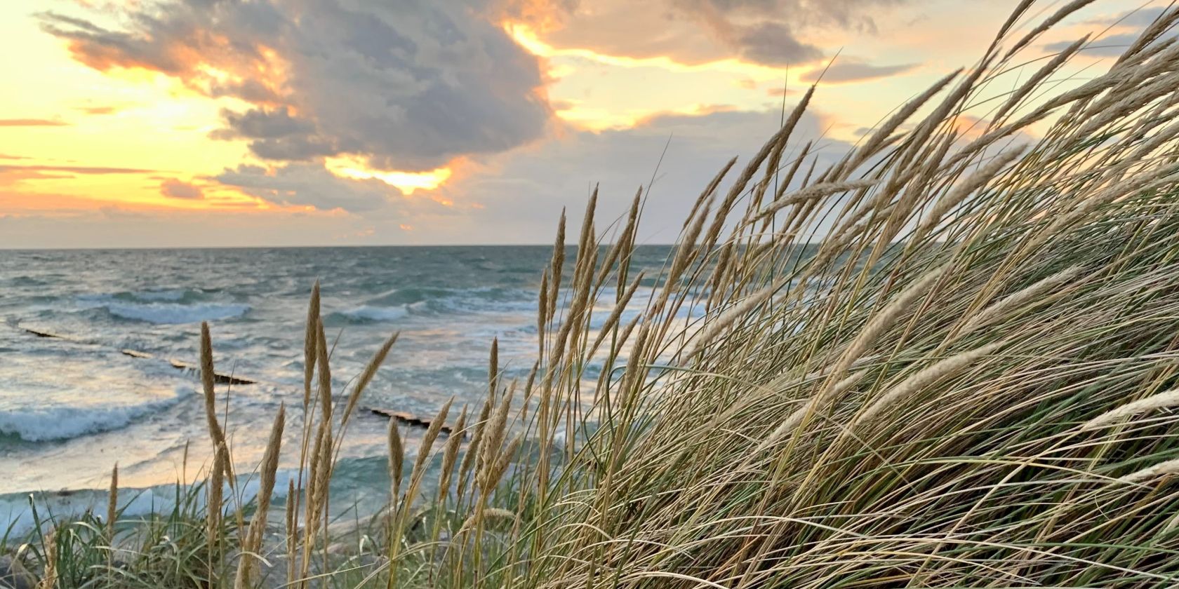Ostsee und Strandhafer - K.B&auml;rwald, &copy; Nationalparkamt Vorpommern