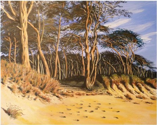 Wald_und_Meer, &copy; -
