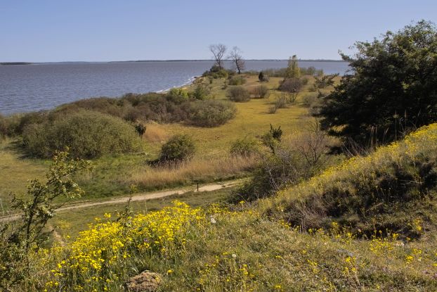 Naturschutzgebiet Gnitz, &copy; Fotoarchiv Naturpark Insel Usedom