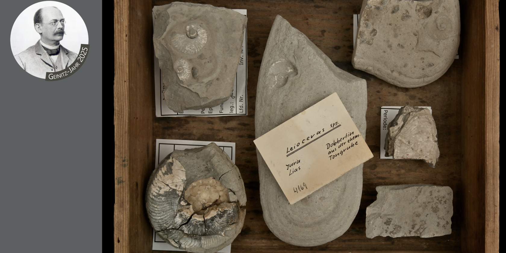 Sammelkasten_VD, © Müritzeum