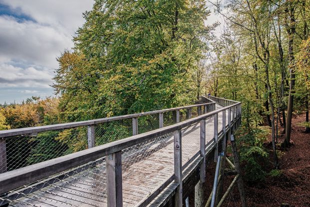 Über den Horizont hinaus - Entdeckungen auf dem Baumwipfelpfad, © Binzer Bucht Tourismus