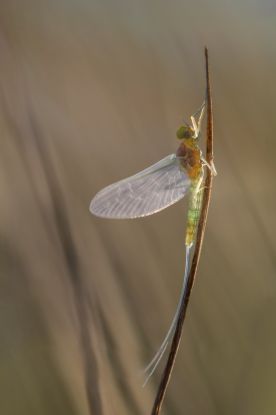 Unter unseren Füßen Teil 3, © Ralf Mittermüller