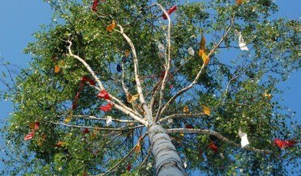 Bild, &copy; Touristik Lohme