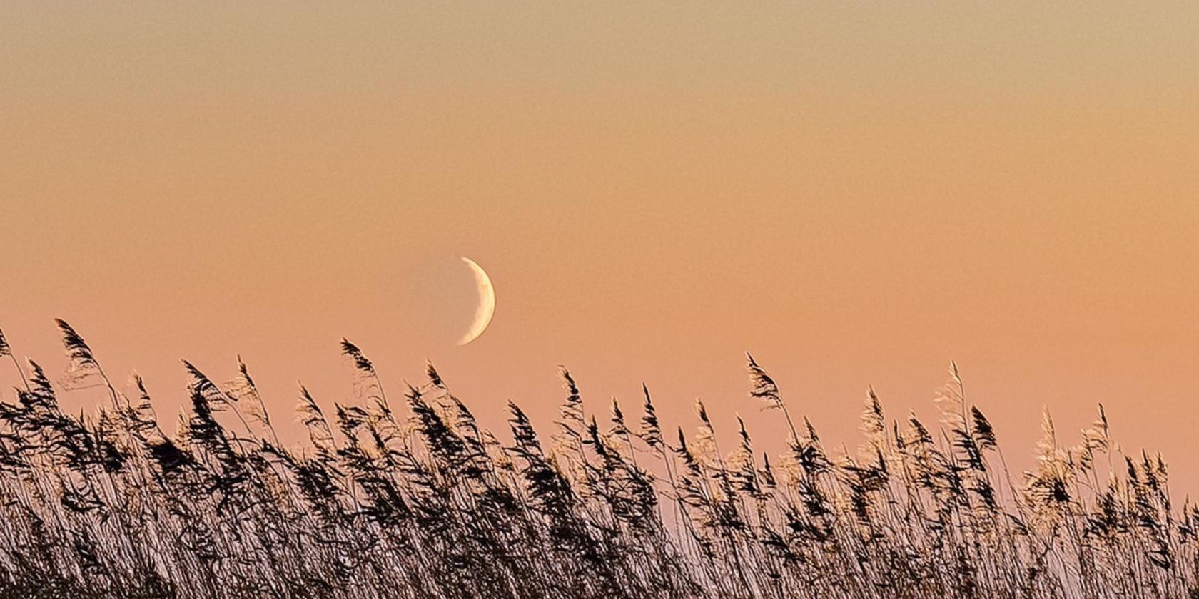 Neumond, &copy; Kurverwaltung M&ouml;nchgut