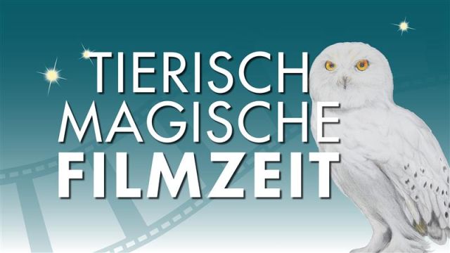 Filmzeit_allgemein_quer_16zu9, © Zoo Rostock