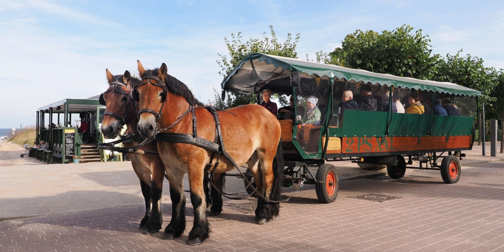 Planwagen-/ Kremser- und Kutschfahrt