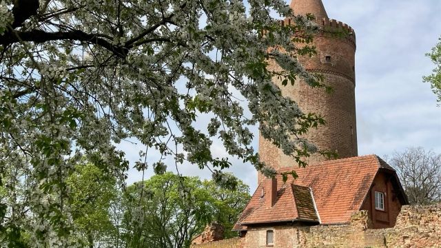 Burganlage in Burg Stargard, &copy; Andrea Kr&uuml;ger