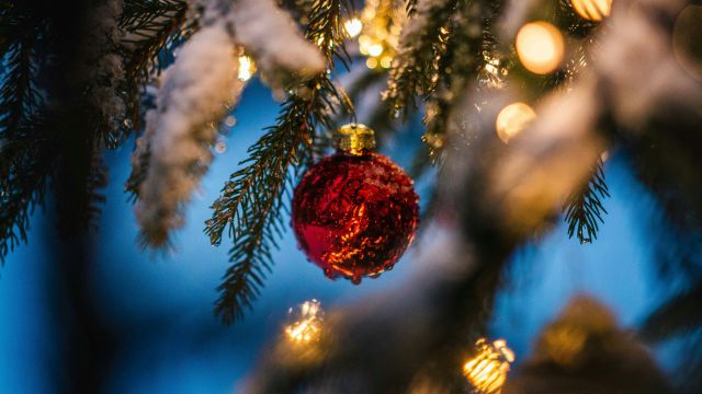 silas-baisch-QbF2netSOP4-unsplash, &copy; Foto von Silas Baisch auf Unsplash