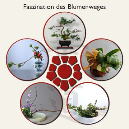 KADO - Fascination of the flower trail, © Ralph Tepel und IBV