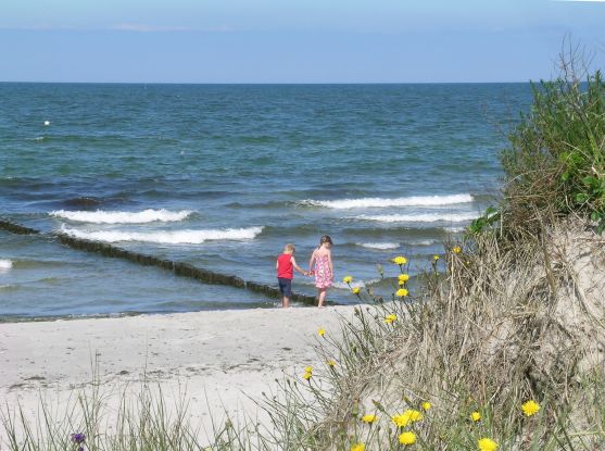 Führung_Lupe_Hiddensee_C_Wolff_1800, © Nationalparkamt Vorpommern