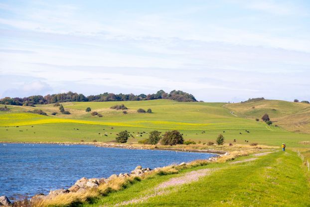 Moenchgut entdecken Fruehling u. Herbst (c) Kurverwaltung Goehren Martin Stoever_10-2020_P5I9425, &copy; Kurverwaltung Goehren / Martin Stoever