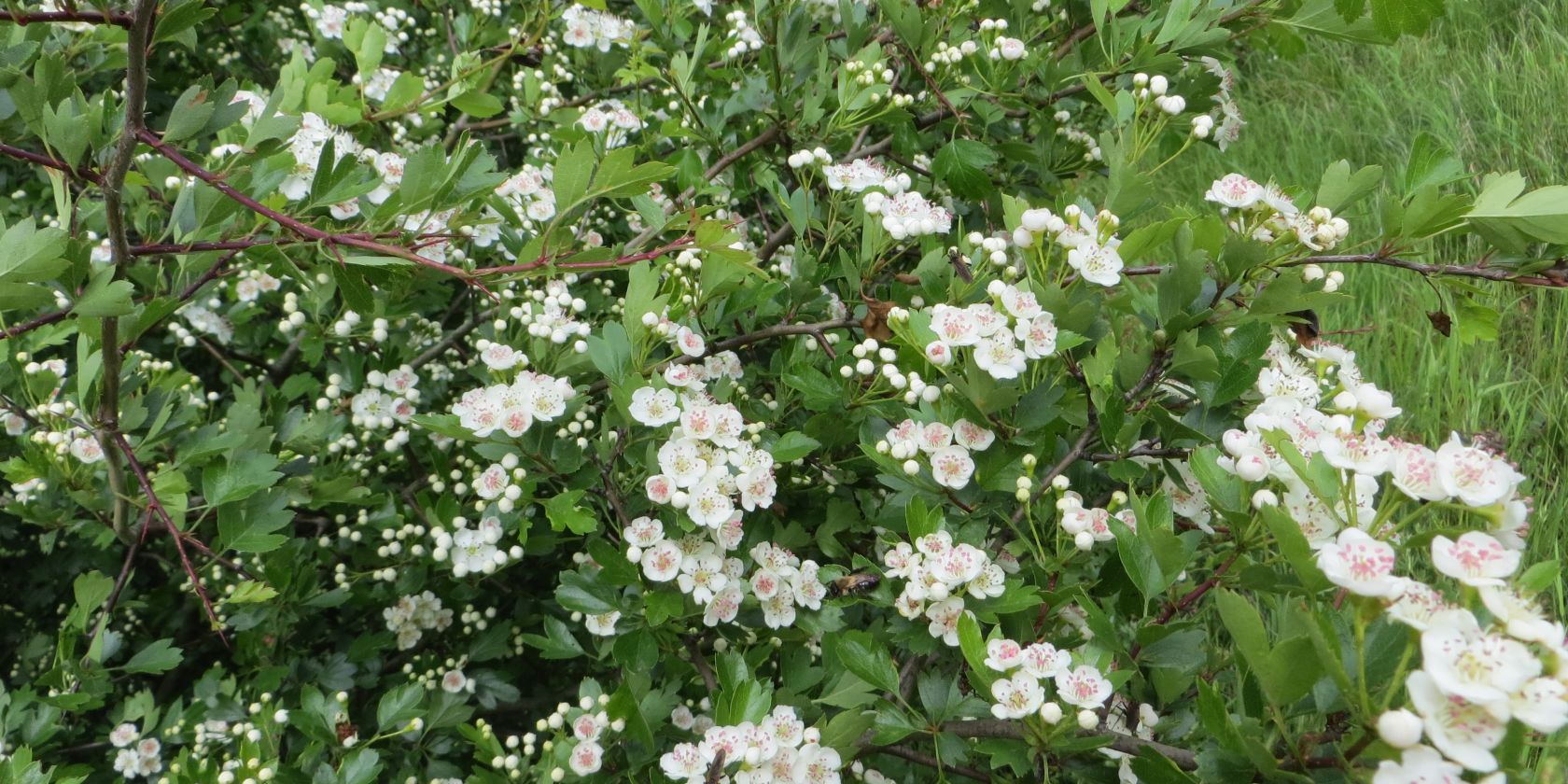 , &copy; Kurverwaltung M&ouml;nchgut