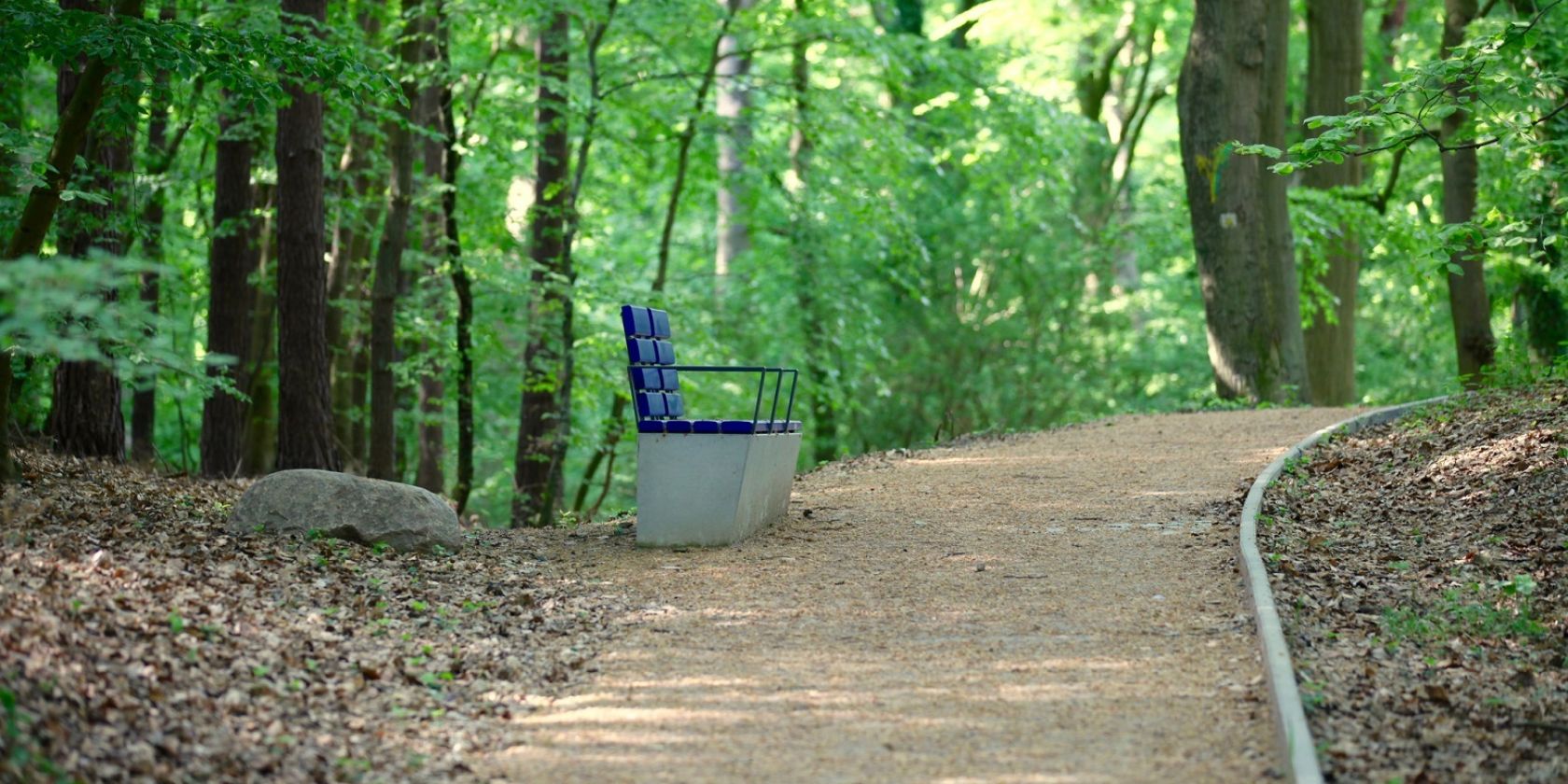 Therapiewanderung