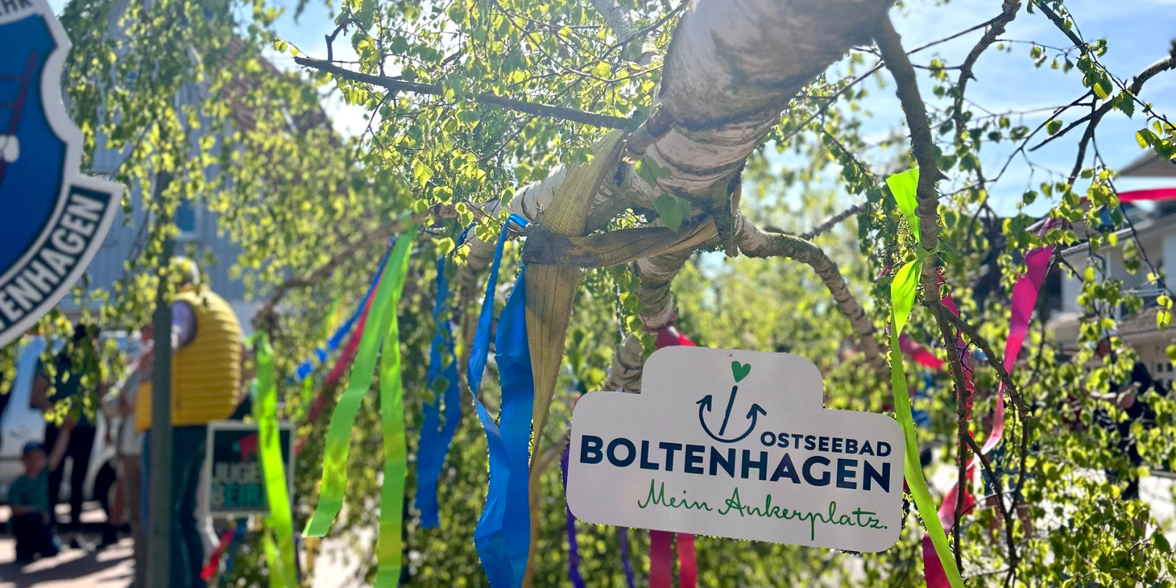 Maibaum2025, &copy; Kurverwaltung Ostseebad Boltenahgen