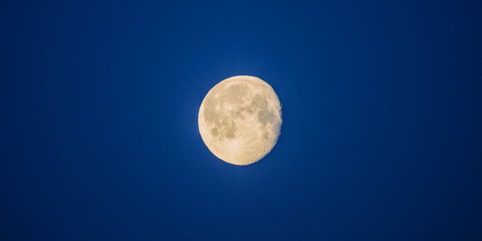 Vollmond auf dem Baumwipfelpfad, © Binzer Bucht Tourismus
