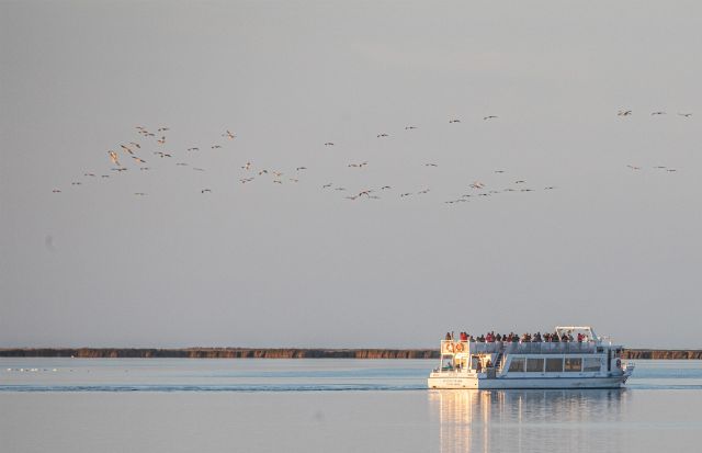 Kranichfahrten ab Hafen Stralsund, &copy; Wei&szlig;e Flotte GmbH