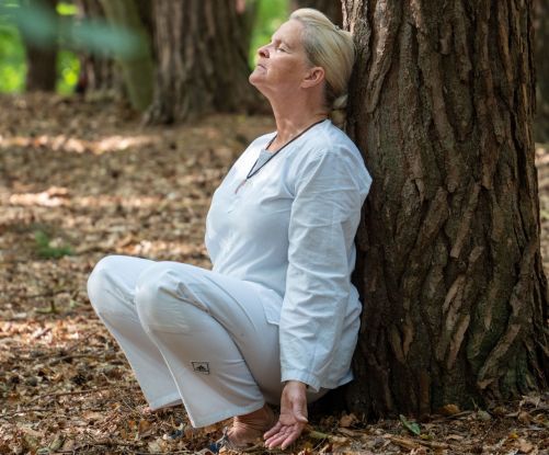 Waldmeditation - Auszeit in der Natur
