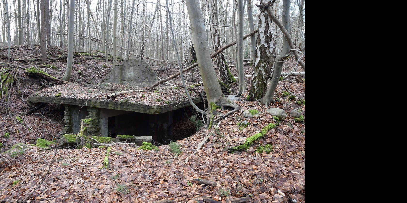 Tracks, &copy; Bianka B&uuml;low