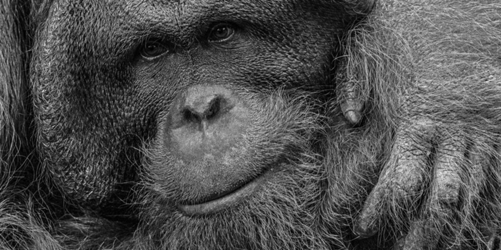die hakab&eacute; Fotoreihe, &copy; Lothar W&ouml;lfel