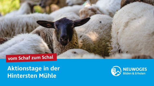 Aktionstag Vom Schaf zum Schal, &copy; Neuwoges
