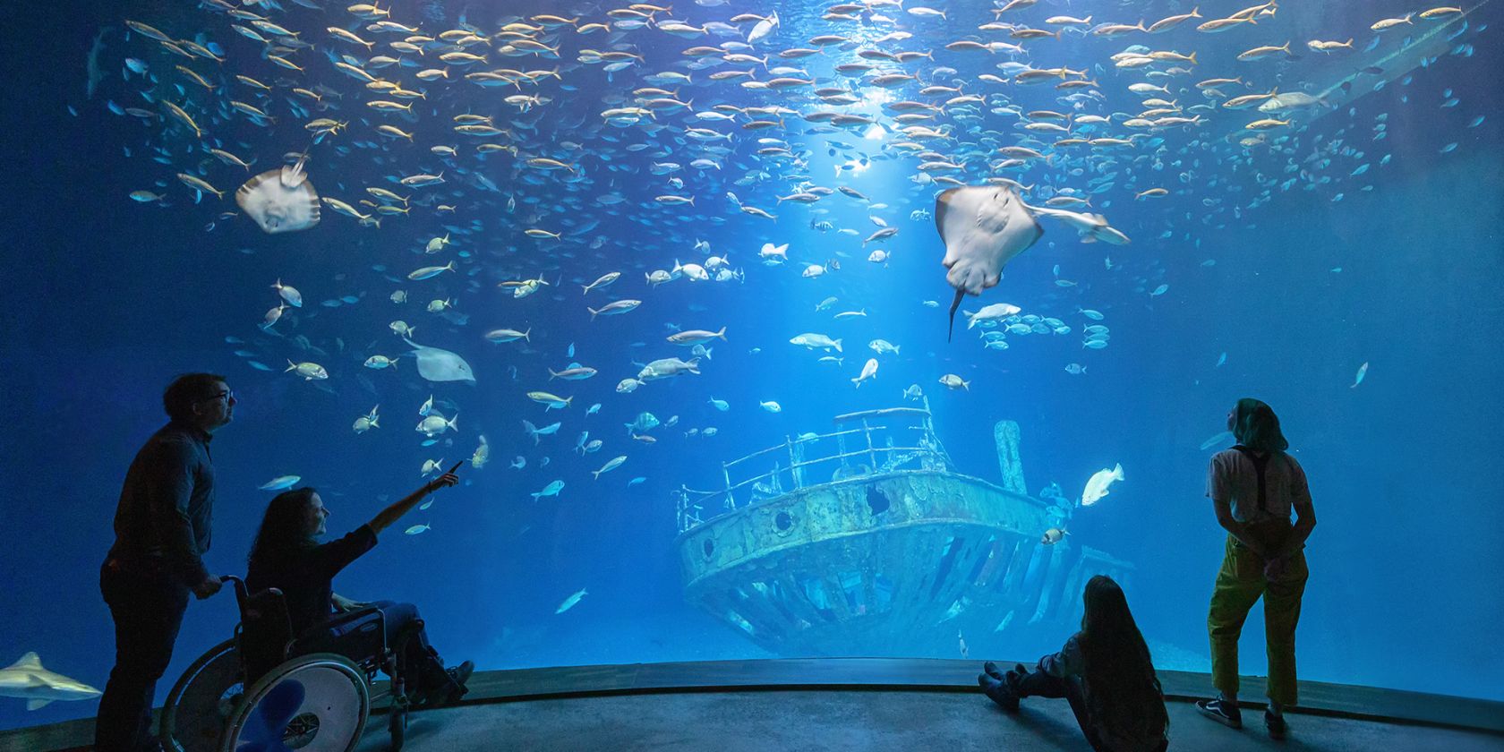 Im gr&ouml;&szlig;ten Aquarium &bdquo;Offener Atlantik&ldquo; schwimmen Makrelenschw&auml;rme, Ammen- und Glatthaie sowie verschiedene Rochenarten &uuml;ber dem Nachbau eines elf Meter langen Schiffswracks (Foto: Anke Neumeister/Deutsches Meeresmuseum)