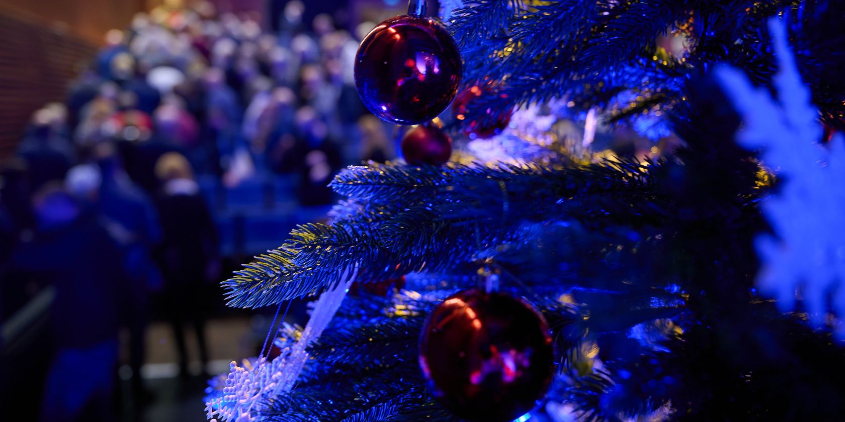 , &copy; Mirco Dalchow