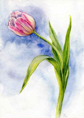 Jenny Thalheim, &copy; Jenny Thalheim